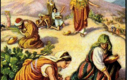 Thiên Chúa Ban Lương Thực Nuôi Dân Trong Sa Mạc (CN XVIII-B, Xh 16, 2-4.12-15)